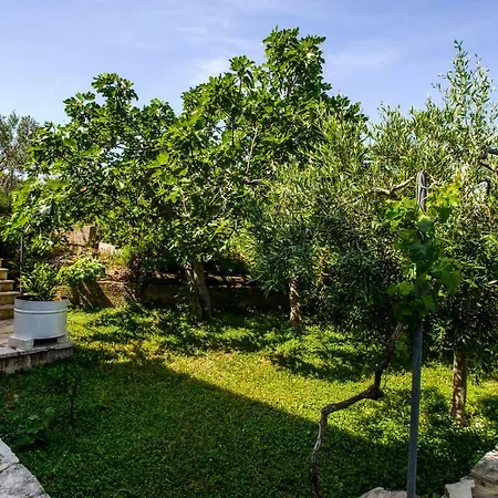 Great View Apartment Sutivan